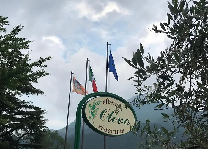 Olivo Hotel 2*